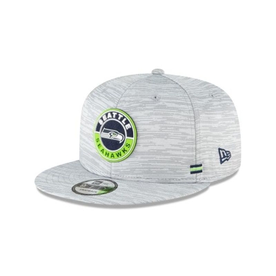 Grey Seattle Seahawks Hat - New Era NFL Official NFL Fall Sideline 9FIFTY Snapback Caps USA2957683